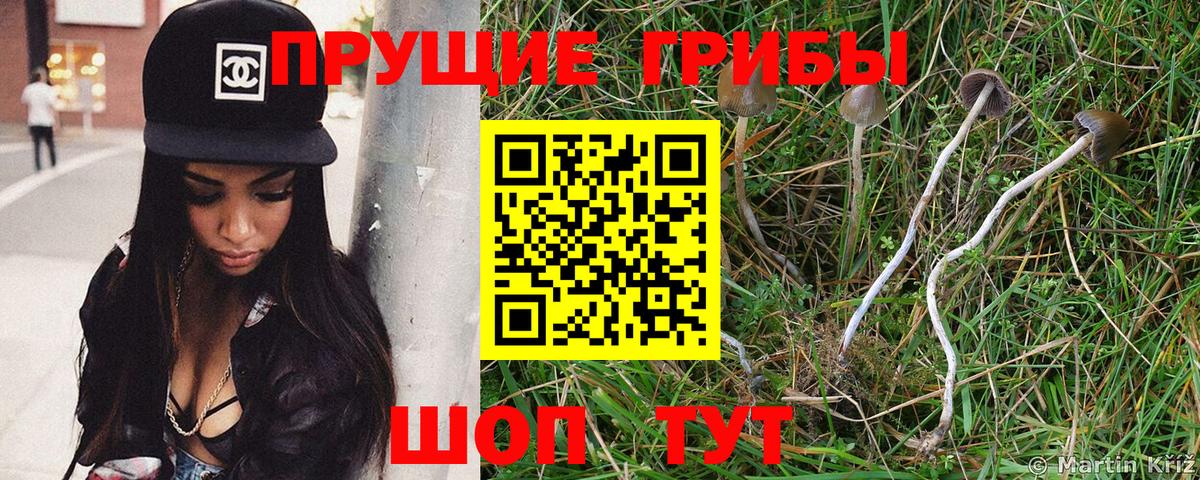 Галлюциногенные грибы прущие грибы Мелеуз