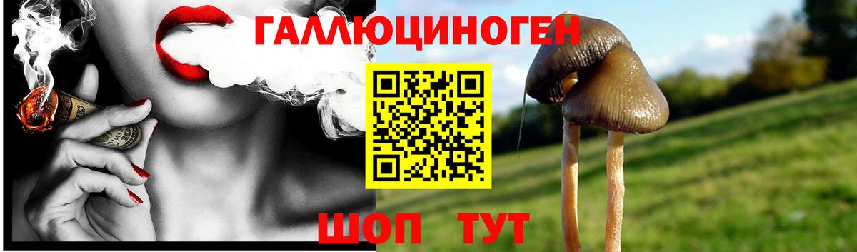 Мелеуз  Галлюциногенные грибы GOLDEN TEACHER  Вход с VPN 